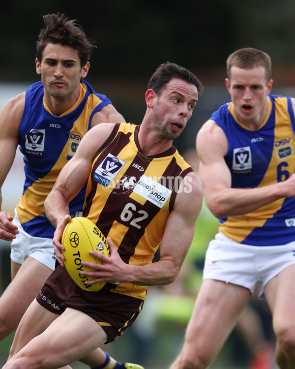 VFL 2024 Elimination Final - Box Hill v Williamstown - A-53591280