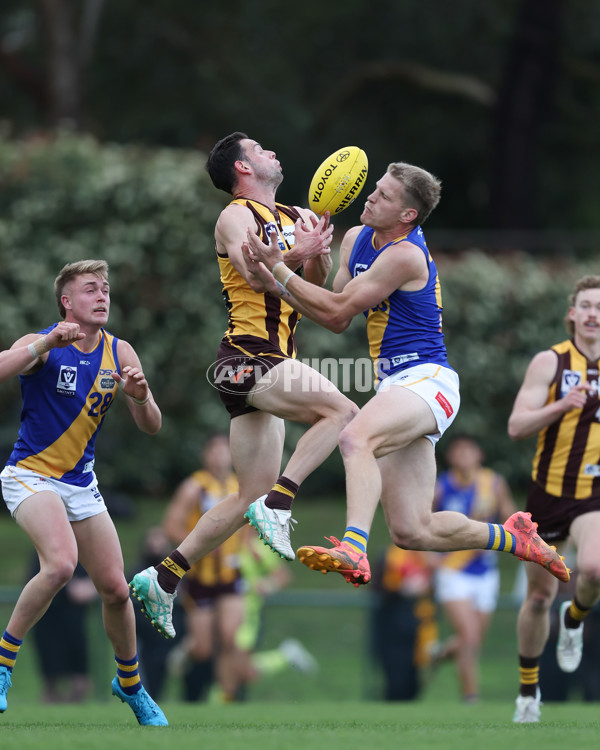 VFL 2024 Elimination Final - Box Hill v Williamstown - A-53591281