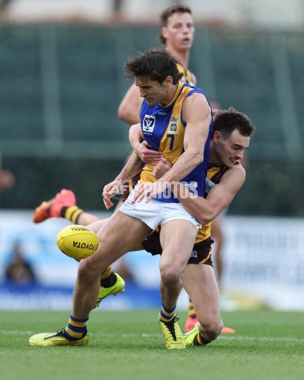 VFL 2024 Elimination Final - Box Hill v Williamstown - A-53591284