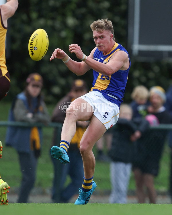 VFL 2024 Elimination Final - Box Hill v Williamstown - A-53591285