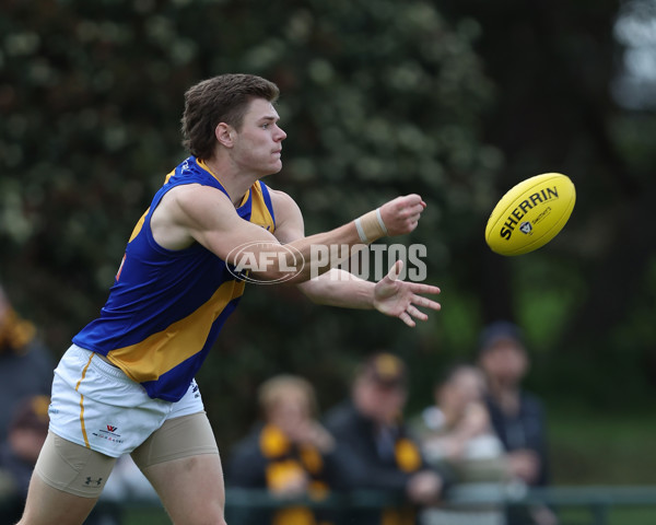 VFL 2024 Elimination Final - Box Hill v Williamstown - A-53591286