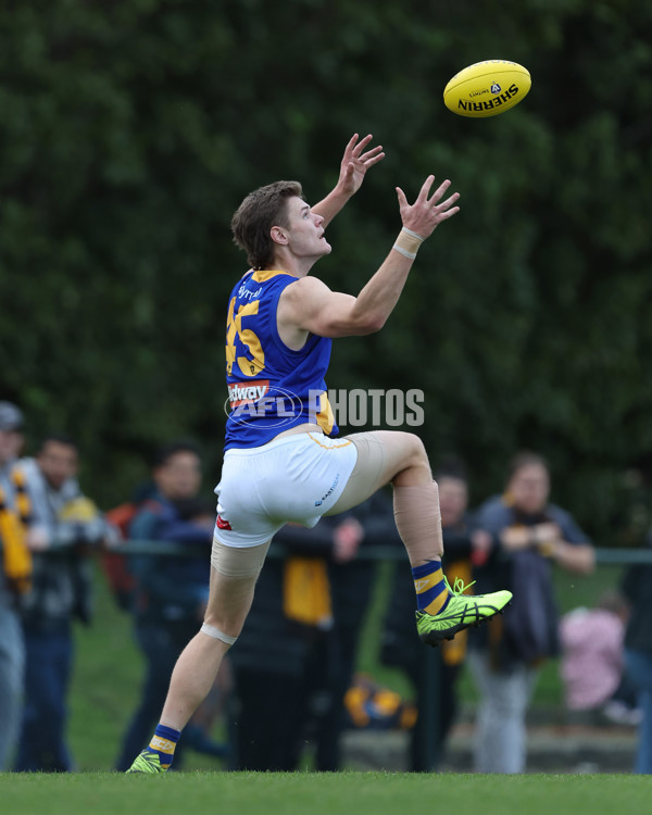 VFL 2024 Elimination Final - Box Hill v Williamstown - A-53591287