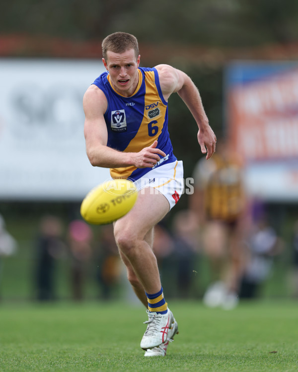 VFL 2024 Elimination Final - Box Hill v Williamstown - A-53593338