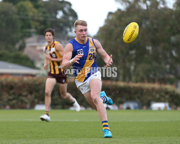 VFL 2024 Elimination Final - Box Hill v Williamstown - A-53595764