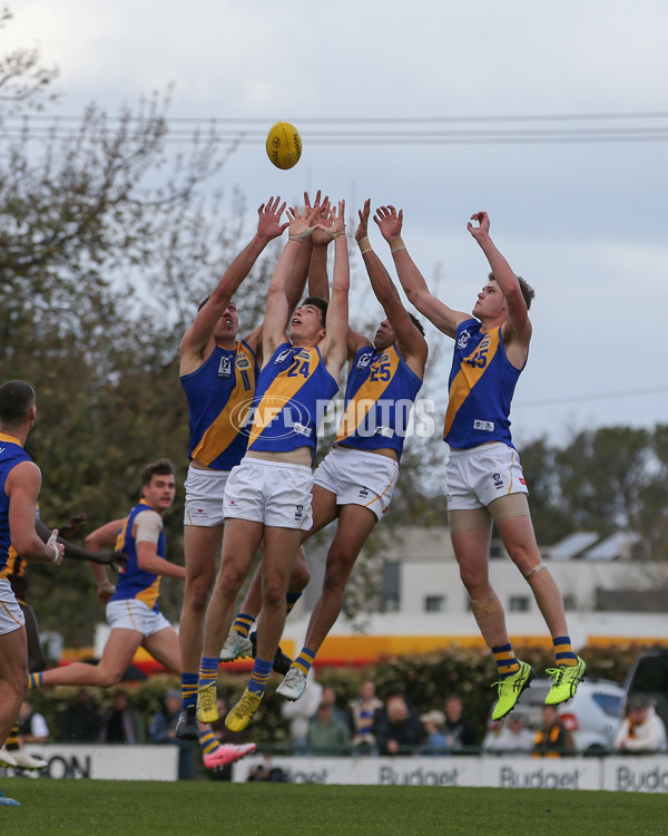 VFL 2024 Elimination Final - Box Hill v Williamstown - A-53595765