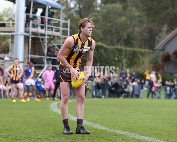 VFL 2024 Elimination Final - Box Hill v Williamstown - A-53595766