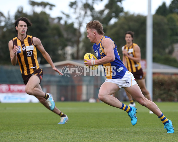 VFL 2024 Elimination Final - Box Hill v Williamstown - A-53595770