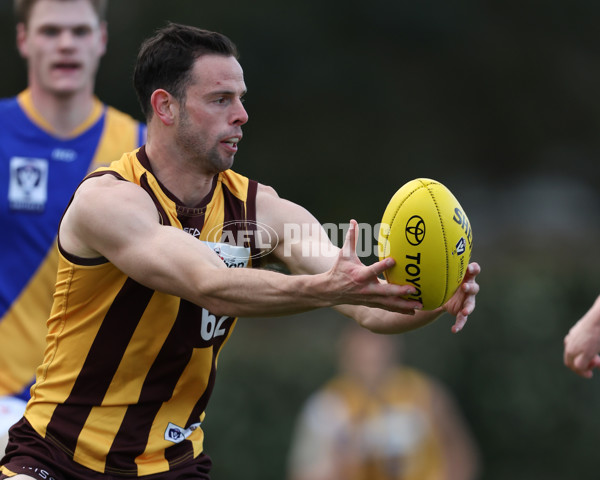 VFL 2024 Elimination Final - Box Hill v Williamstown - A-53595771