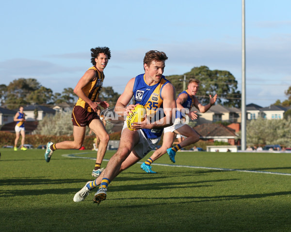 VFL 2024 Elimination Final - Box Hill v Williamstown - A-53595804