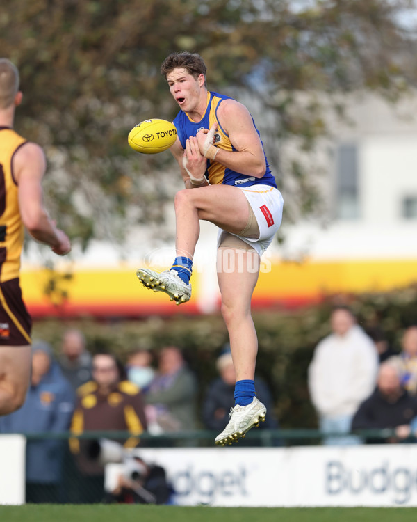 VFL 2024 Elimination Final - Box Hill v Williamstown - A-53595806