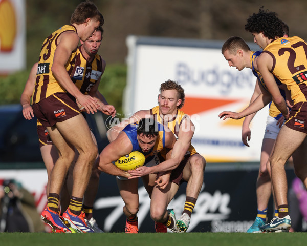 VFL 2024 Elimination Final - Box Hill v Williamstown - A-53595807