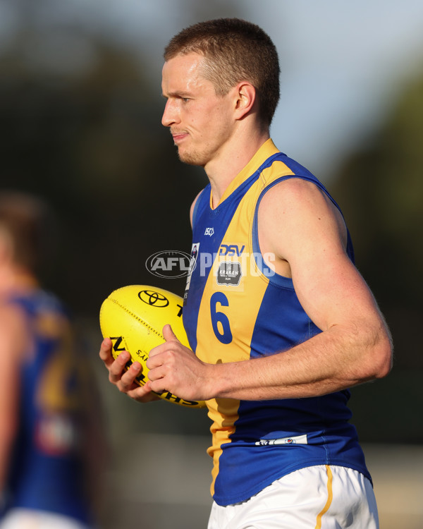 VFL 2024 Elimination Final - Box Hill v Williamstown - A-53595844