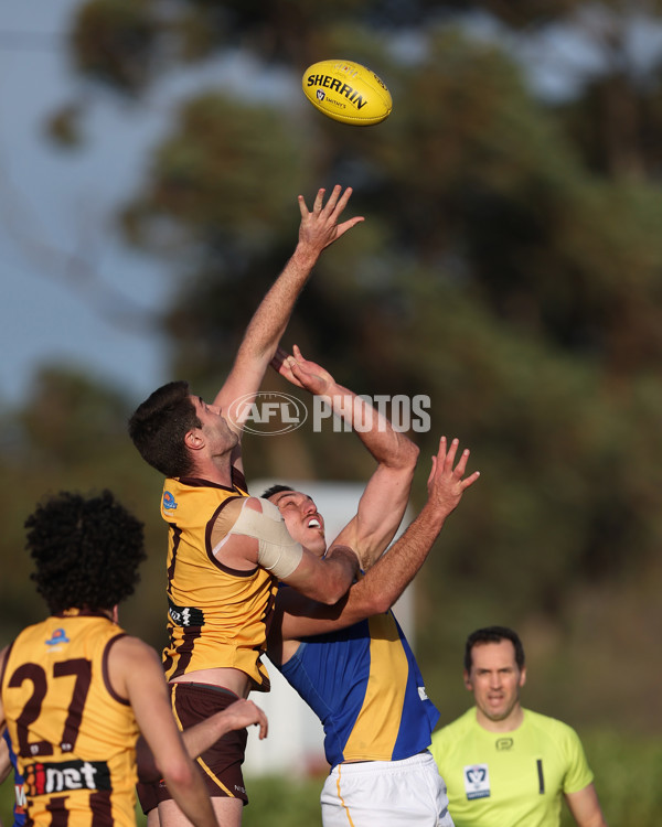 VFL 2024 Elimination Final - Box Hill v Williamstown - A-53596868