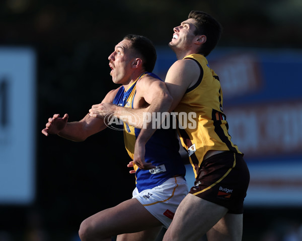 VFL 2024 Elimination Final - Box Hill v Williamstown - A-53596900