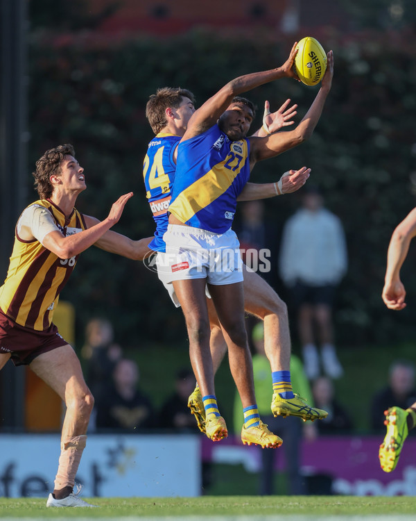 VFL 2024 Elimination Final - Box Hill v Williamstown - A-53596904