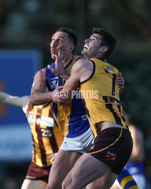 VFL 2024 Elimination Final - Box Hill v Williamstown - A-53596910