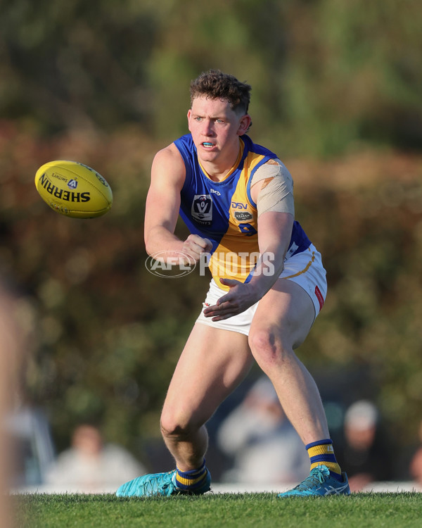 VFL 2024 Elimination Final - Box Hill v Williamstown - A-53596912