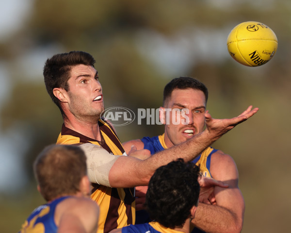 VFL 2024 Elimination Final - Box Hill v Williamstown - A-53596947