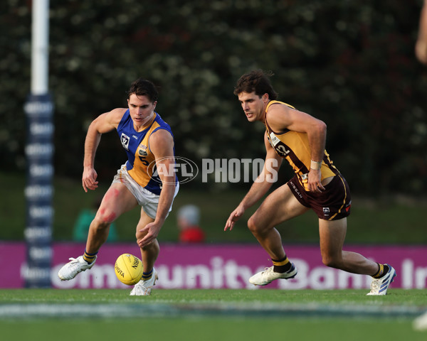 VFL 2024 Elimination Final - Box Hill v Williamstown - A-53596948