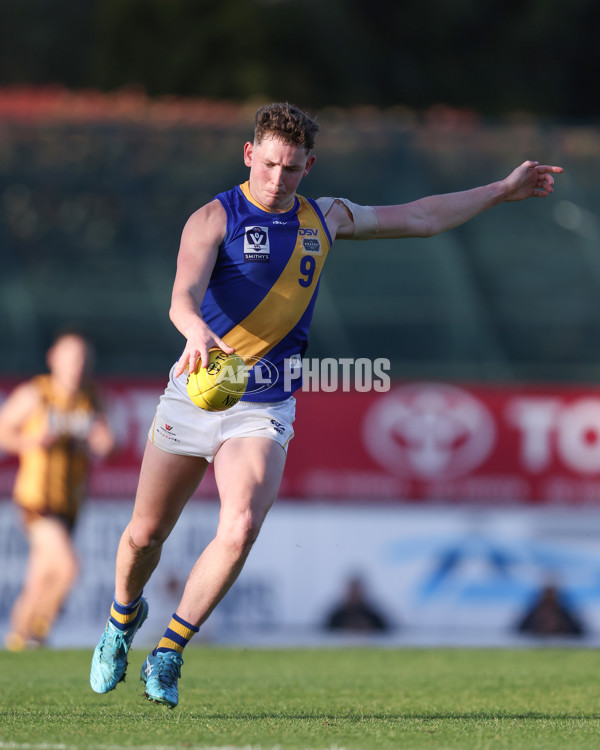 VFL 2024 Elimination Final - Box Hill v Williamstown - A-53598206