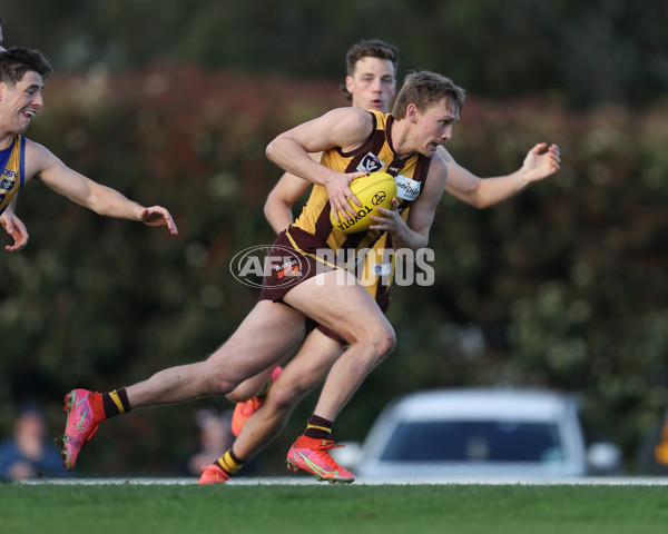 VFL 2024 Elimination Final - Box Hill v Williamstown - A-53598207