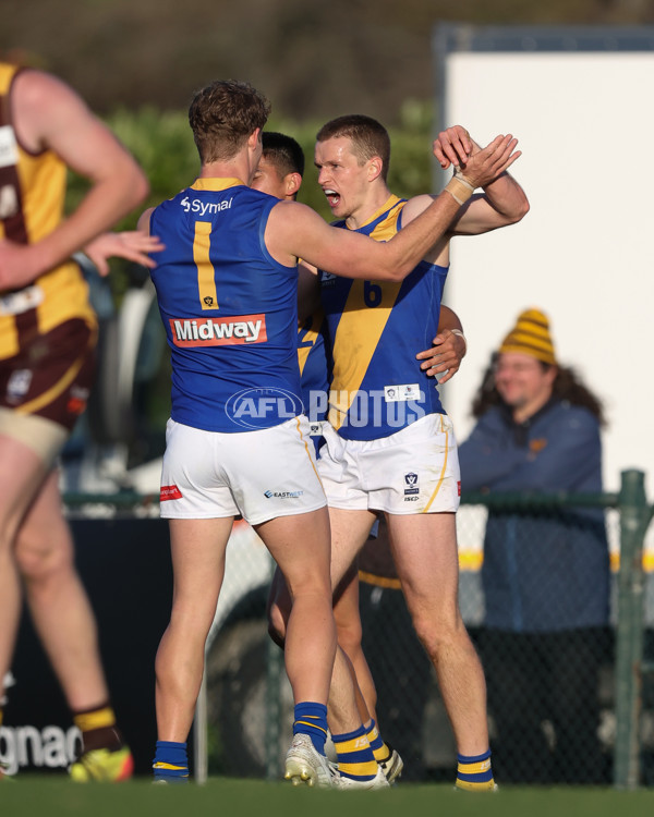 VFL 2024 Elimination Final - Box Hill v Williamstown - A-53598209