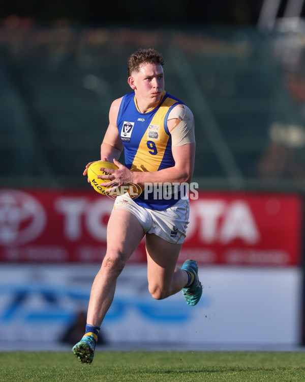 VFL 2024 Elimination Final - Box Hill v Williamstown - A-53598210