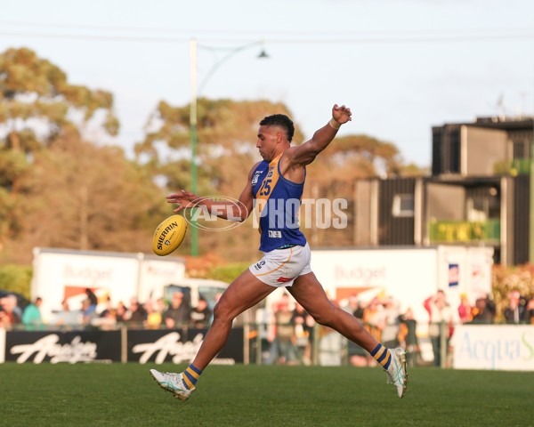 VFL 2024 Elimination Final - Box Hill v Williamstown - A-53598261