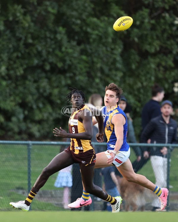 VFL 2024 Elimination Final - Box Hill v Williamstown - A-53599719