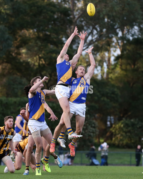 VFL 2024 Elimination Final - Box Hill v Williamstown - A-53599720