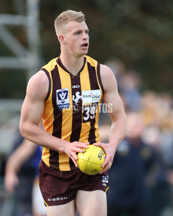 VFL 2024 Elimination Final - Box Hill v Williamstown - A-53599724