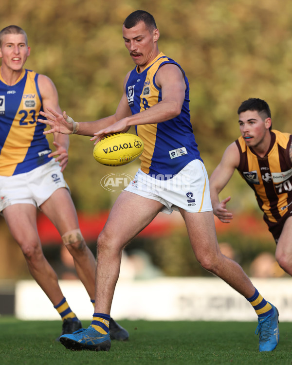 VFL 2024 Elimination Final - Box Hill v Williamstown - A-53599725