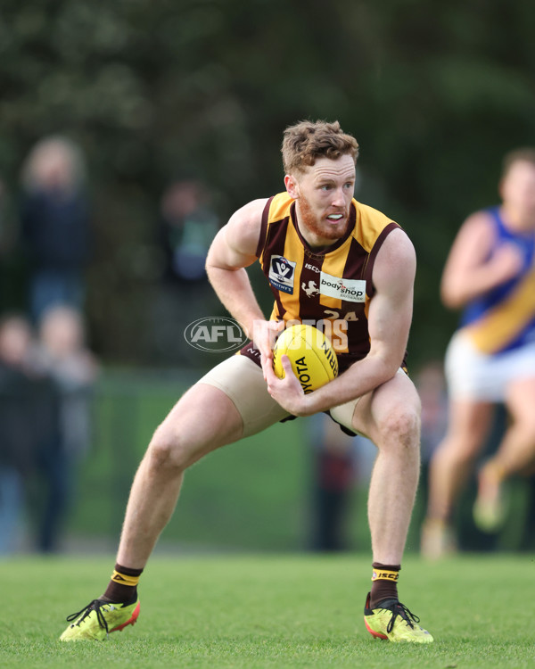 VFL 2024 Elimination Final - Box Hill v Williamstown - A-53601042