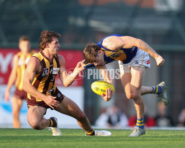 VFL 2024 Elimination Final - Box Hill v Williamstown - A-53601043