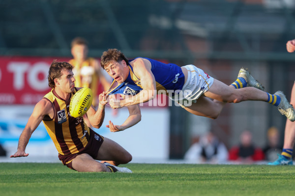 VFL 2024 Elimination Final - Box Hill v Williamstown - A-53601044