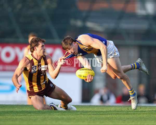 VFL 2024 Elimination Final - Box Hill v Williamstown - A-53601045