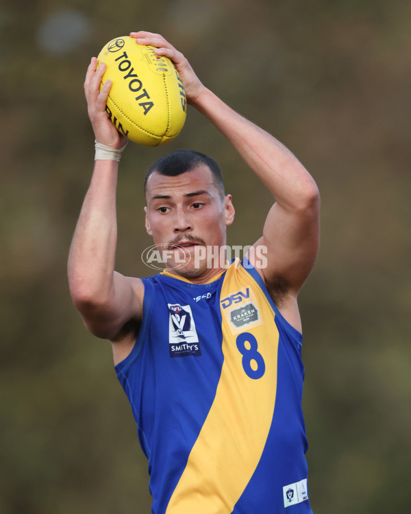 VFL 2024 Elimination Final - Box Hill v Williamstown - A-53601068