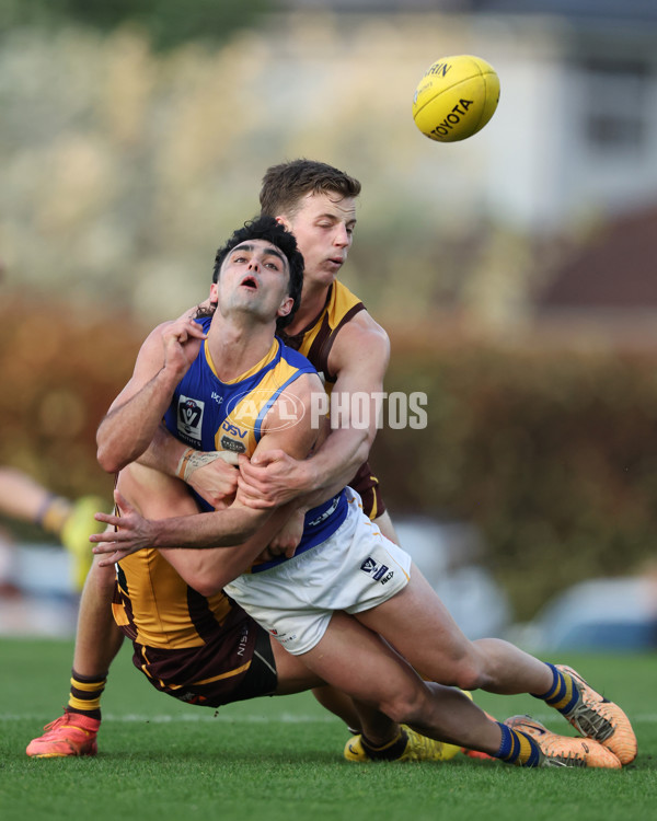 VFL 2024 Elimination Final - Box Hill v Williamstown - A-53601069