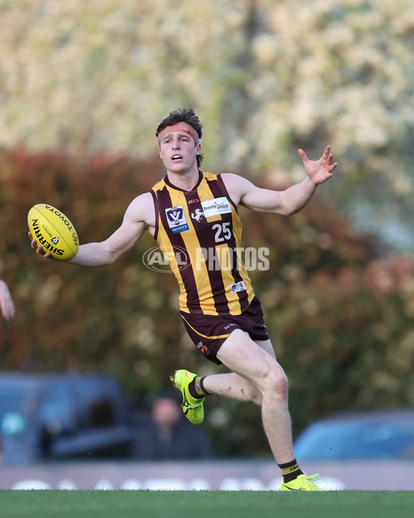 VFL 2024 Elimination Final - Box Hill v Williamstown - A-53601070