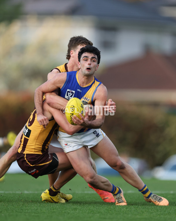 VFL 2024 Elimination Final - Box Hill v Williamstown - A-53601071