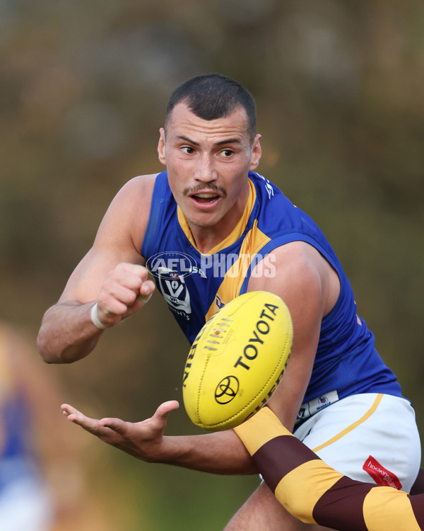 VFL 2024 Elimination Final - Box Hill v Williamstown - A-53601072