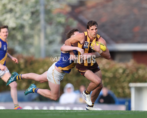 VFL 2024 Elimination Final - Box Hill v Williamstown - A-53602126