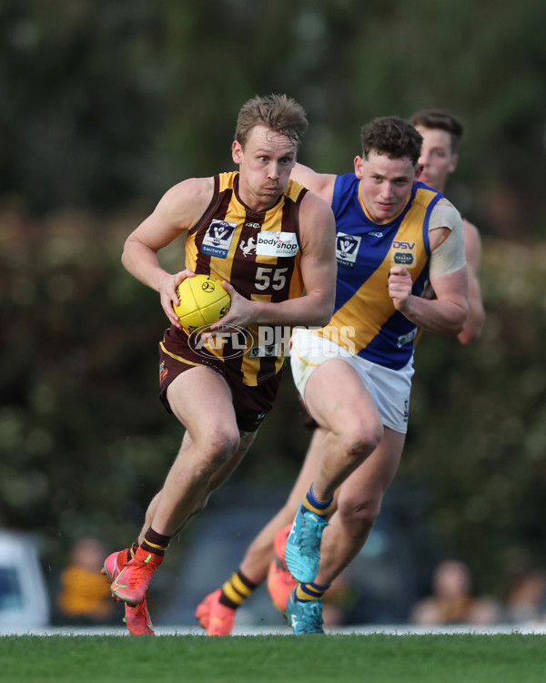 VFL 2024 Elimination Final - Box Hill v Williamstown - A-53602127