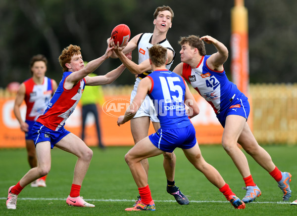 Coates League Boys 2024 Wildcard Round - Gippsland Power v Murray Bushrangers - A-53606325