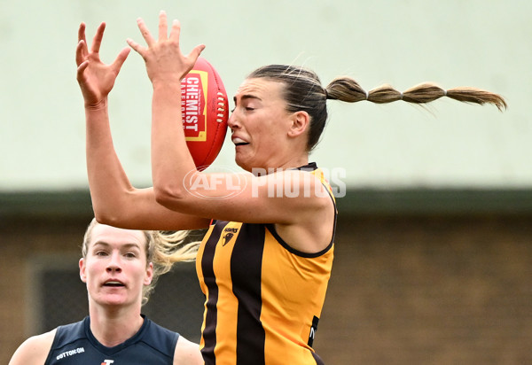 AFLW 2024 Round 01 - Hawthorn v Carlton - A-53608700