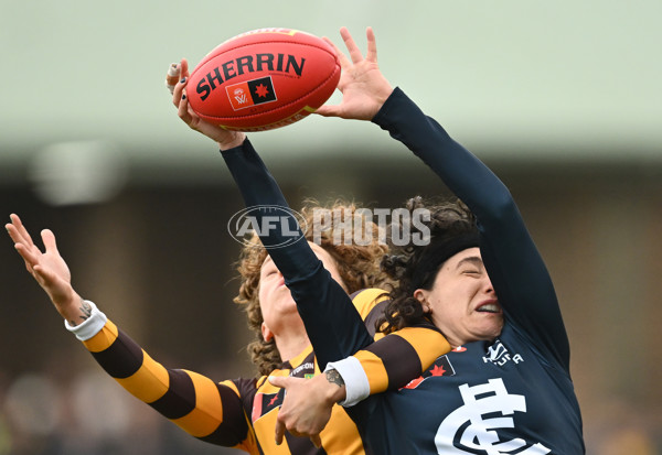 AFLW 2024 Round 01 - Hawthorn v Carlton - A-53614257