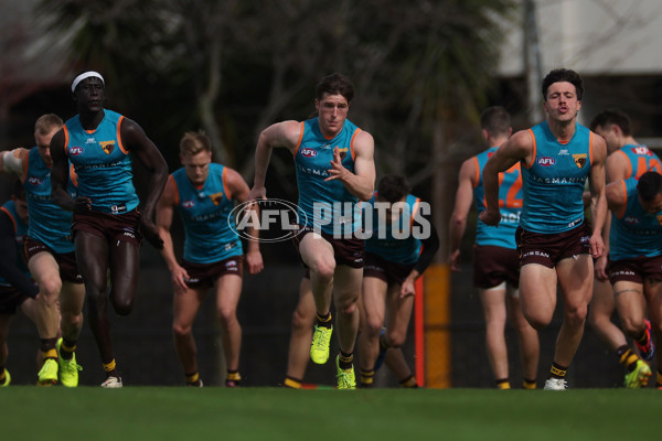 AFL 2024 Training - Hawthorn 040924 - A-53673241