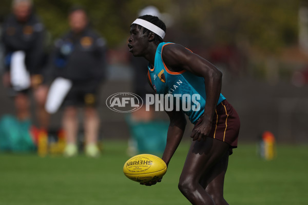 AFL 2024 Training - Hawthorn 040924 - A-53676661