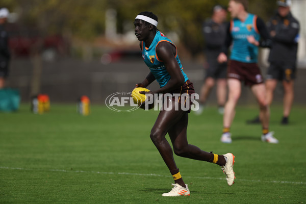 AFL 2024 Training - Hawthorn 040924 - A-53676662