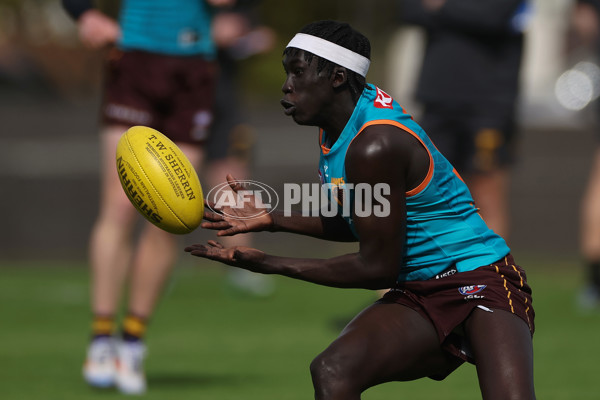 AFL 2024 Training - Hawthorn 040924 - A-53676665